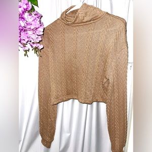 Brown Turtleneck Sweater